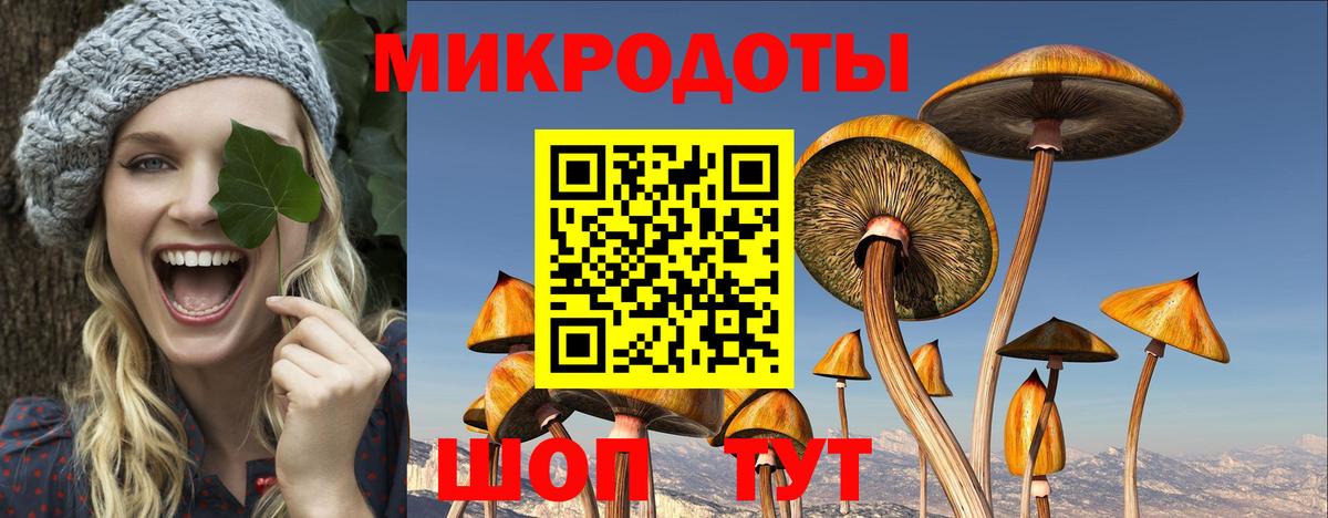 Псилоцибиновые грибы мухоморы  Вход с VPN  Бугуруслан 