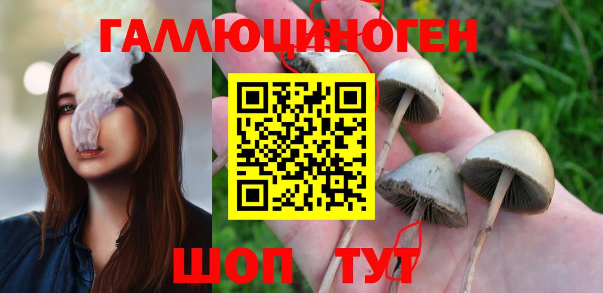 Псилоцибиновые грибы Cubensis Бугуруслан